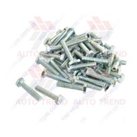 Болт M6x30 (ш. 1)  (Класс прочности 5,8)